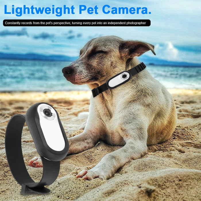 HD 1080P Wireless Collar Camera No Wifi Required Dog Cat Pet Collar Camera with Video Record Mini Body Camera for Indoor/Outdoor