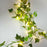 Artificial Ivy Garland with LED Lights - Fake Greenery Vine for Home Decor & Hanging Plants