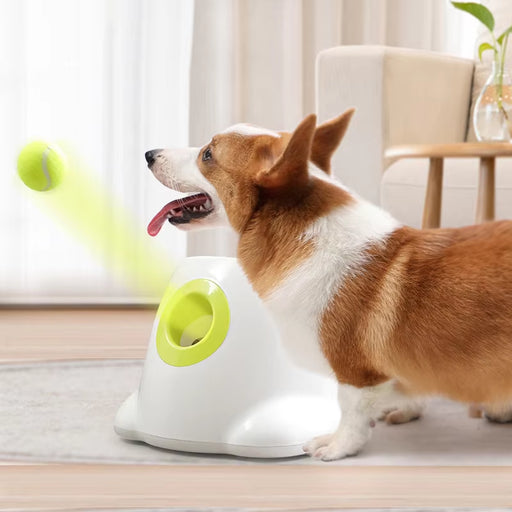 Automatic Dog Ball Launcher - Pet Tennis Thrower Machine with 3 Balls for Training